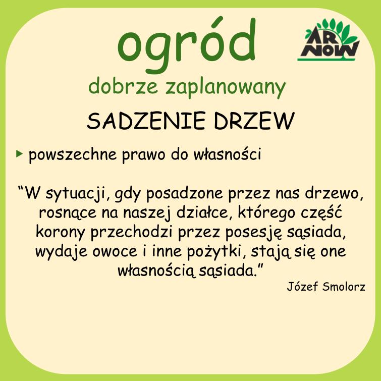 ODZ_WIEDZA _1a ogród dobrze zaplanowany - projekt plan ogrodu  arnow szkółka roślin ozdobnych wrocław .jpg
